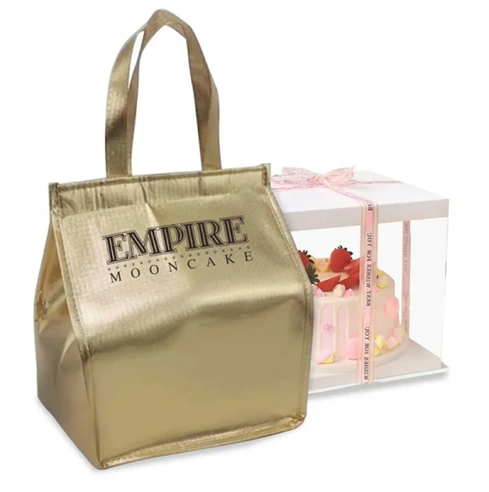 Laminated pp Fashion Blue Non Woven Big Laminated Lunch Cooler Bag with MAGIC TAPE closure - ICEK-1601 - ICEK-2101 - Detail